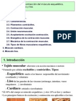 Cardiaco y Liso.: Tema. Excitación y Contracción Del Músculo Esquelético