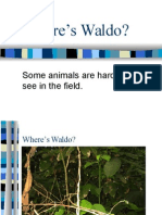 Where's Waldo?: Some Animals Are Hard To See in The Field