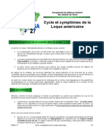 Cycle Et Symptomes de La Loque Americaine