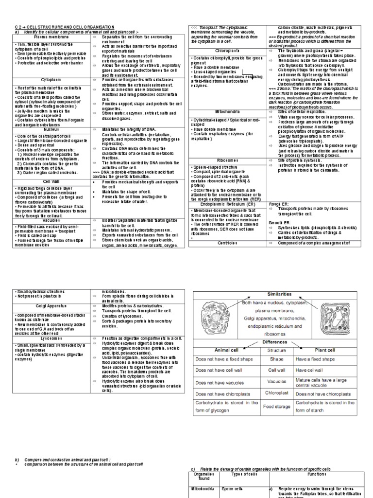 biology spm notes download