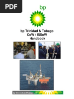 Aligning CPD with RCOT Framework | PDF | Occupational Therapy | Goal ...