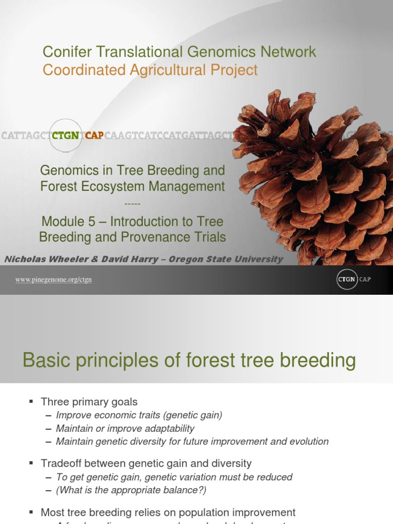 Tree Breeding Plant Breeding Natural Selection