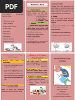 Leaflet Kejang Demam Fix