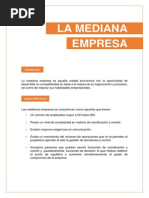 La Mediana Empresa
