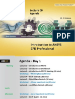 CFD Pro 14.5 L00 Agenda