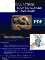 LP 6 - Subst. Cu Actiune Antiinflamatoare