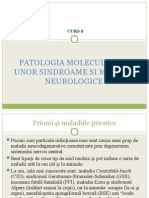 curs10_neurobio