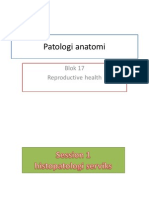 Patologi Anatomi Blok 17 Fix PDF