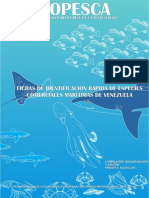 Guía rápida de especies marinas comerciales de Venezuela