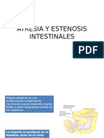 Atresia y Estenosis