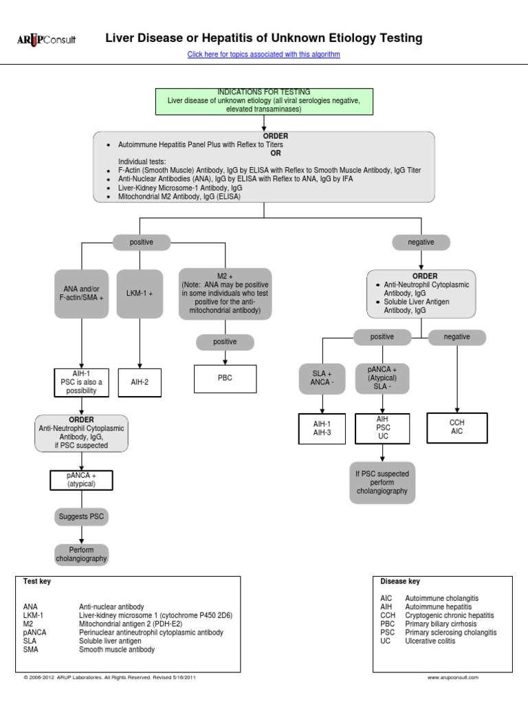 Liver Disease or Hepatitis of Unknown Etiology Testing | PDF | Cooking ...