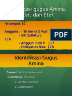 Identifikasi Gugus Amine Ester Eter