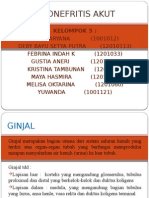 Ppt Pielonefritis Kel 5 A