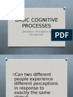 Basic Cognitive Processes: Sensation, Perception & Recognition
