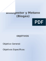 Biodigestor y Metano Biogas