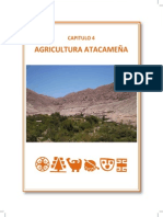 Agricultura Atacameña Libro