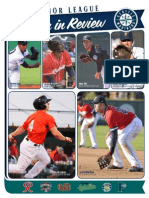 2015 MiLB Season in Review PDF