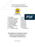 Laporan Hasil Praktikum Aerobic