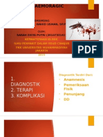 Dengue Haemoragic Fever