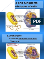 A. Two Main Types of Cells