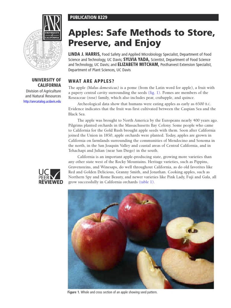 Apple Processing and Storage | PDF | Sugar Substitute | Apple