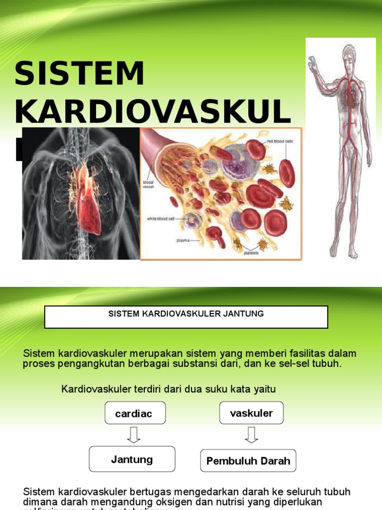 Materi Sistem Kardiovaskuler Homecare24
