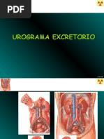 Protocolo de EnteroRM y Preparación Intestinal | PDF | Diarrea ...