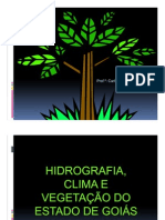 02 - Hidrografia - Clima.Vegetação