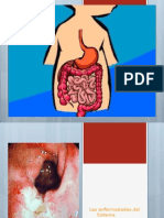 14 El Sistema Digestivo