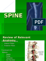  The Vertebral Column