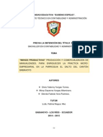 PDF Terminado