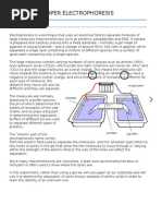 Paper Electrophoresis