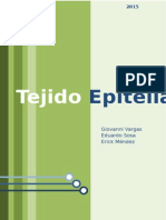 Resumen Tejido Epitelial (Epitelio y Glandulas)