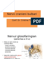 Nervii Cranieni Bulbari