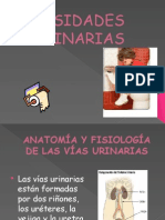 Necesidades Urinarias