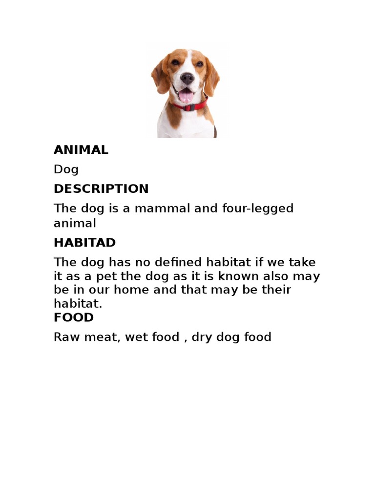 Overview of Common Pets and Wildlife | PDF
