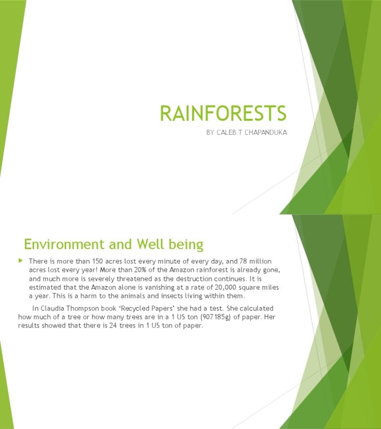 Rainforests | PDF | Rainforest | Forestry And The Environment