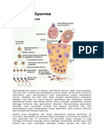 Fisiologis Sperma 