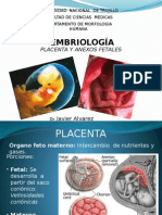  Placenta y Anexos Fetales