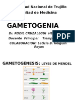 GAMETOGENESIS