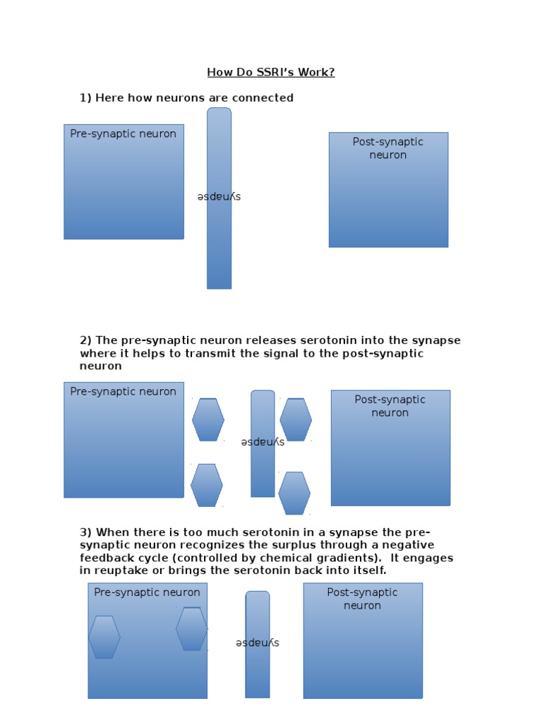 Mechanism of SSRIs in Serotonin Regulation | PDF | Self-Improvement ...