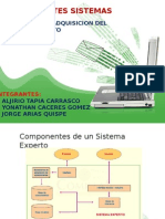 Adquisición Del Conocimiento