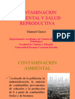 CONTAMINACION AMBIENTAL Y SALUD REPRODUCTIVA.ppt