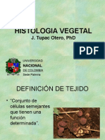 Histologia Vegetal