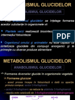 Metabolism Glucide- Anabolism