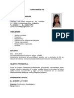 CV Abogada Karen Navarro