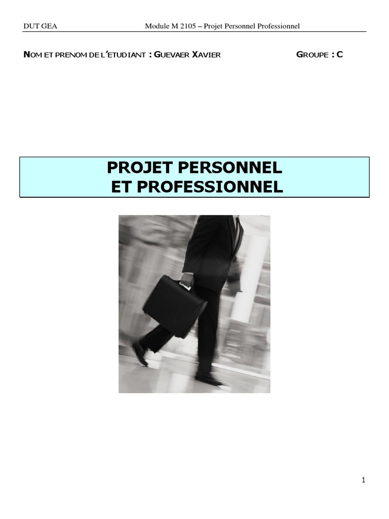 Formation Initiale PPP S2 - Dossier de Projet Personnel Et 