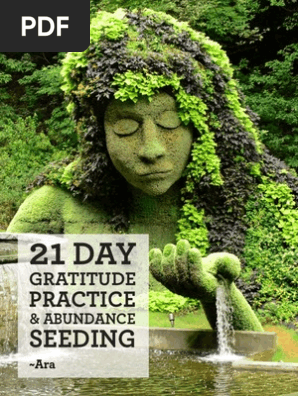 21DayPractice of gratitude