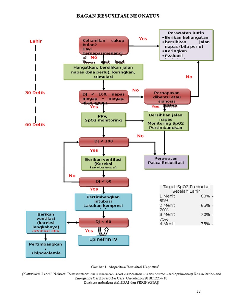 Bagan Resusitasi Neonatus-1