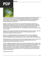 Download jintan-hitam-habbatussauda by Adam Alfisyahrin Akbar SN286347097 doc pdf